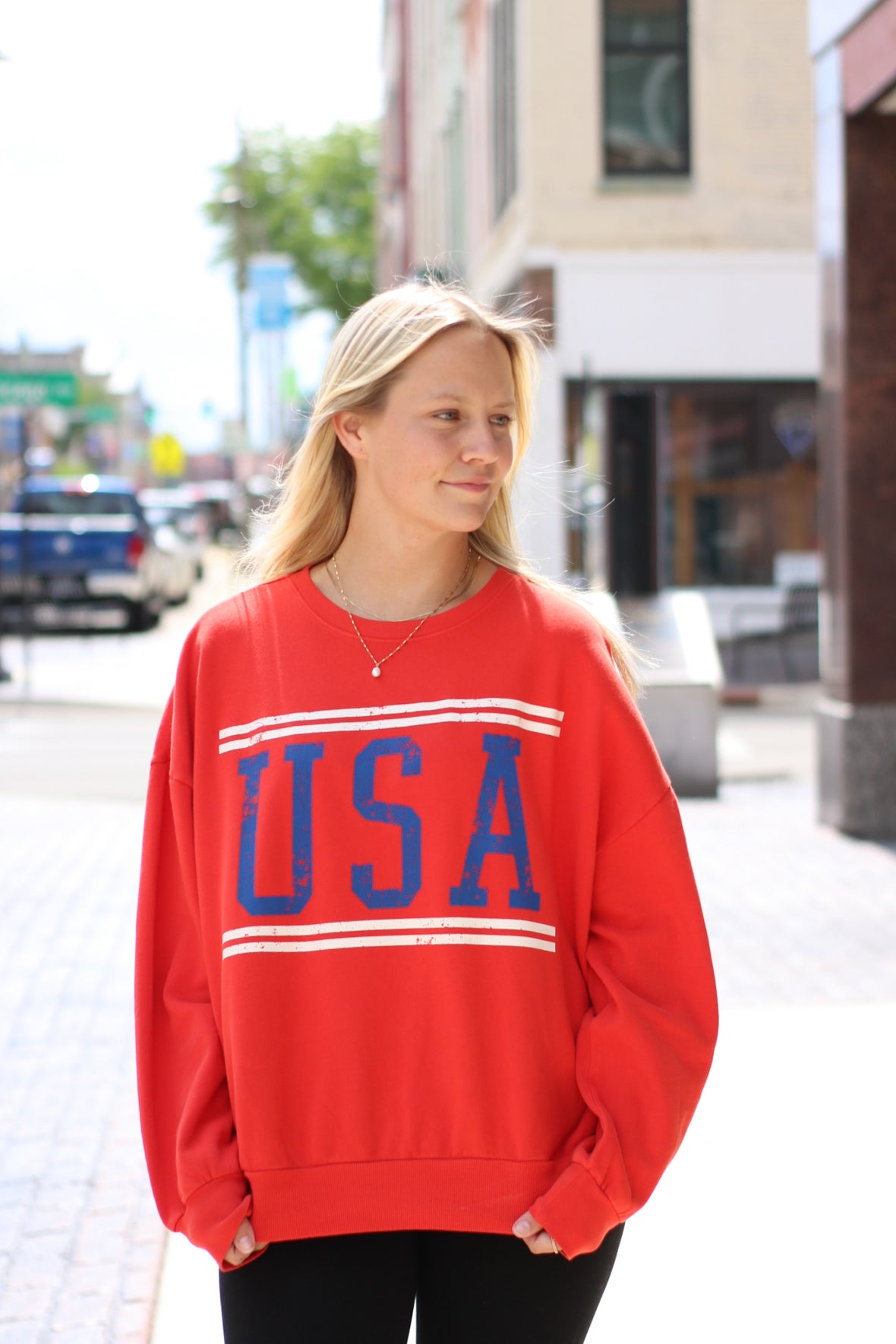 USA Sweatshirt