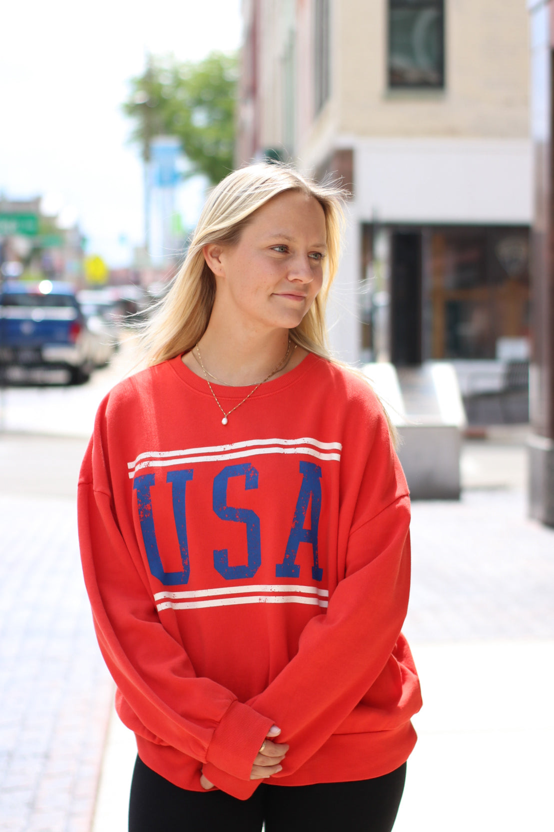 USA Sweatshirt