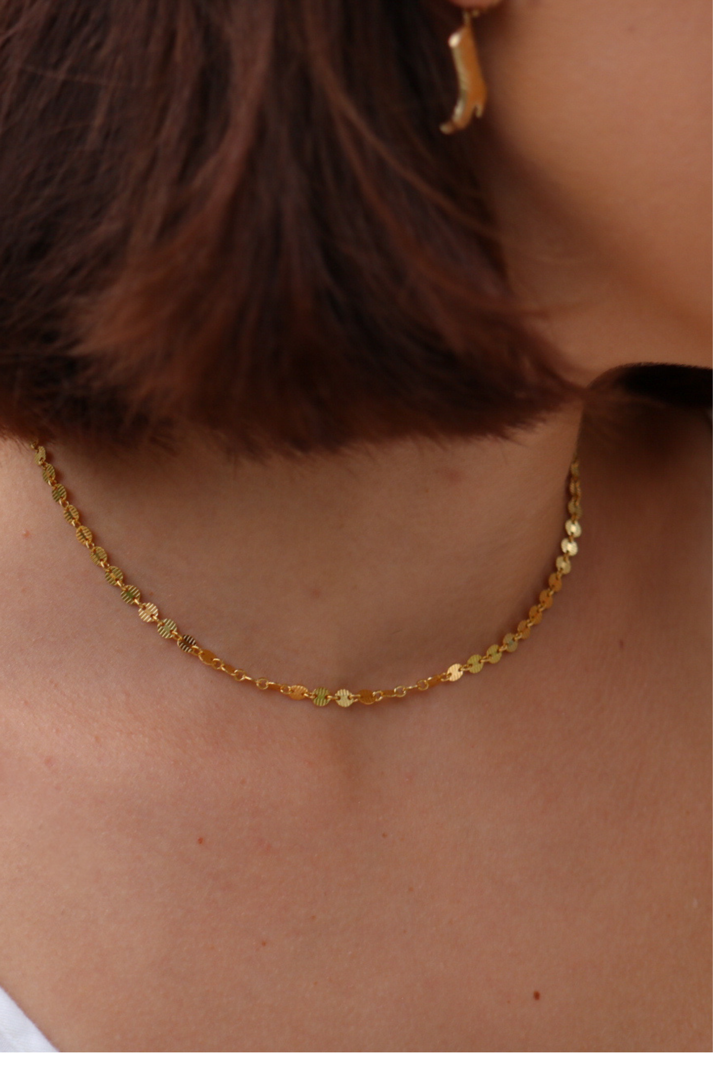 Round Link Necklace